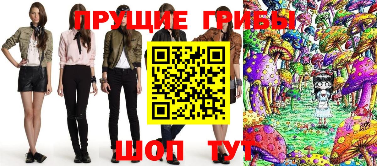 Отрадный  Галлюциногенные грибы Cubensis  Вход с VPN 